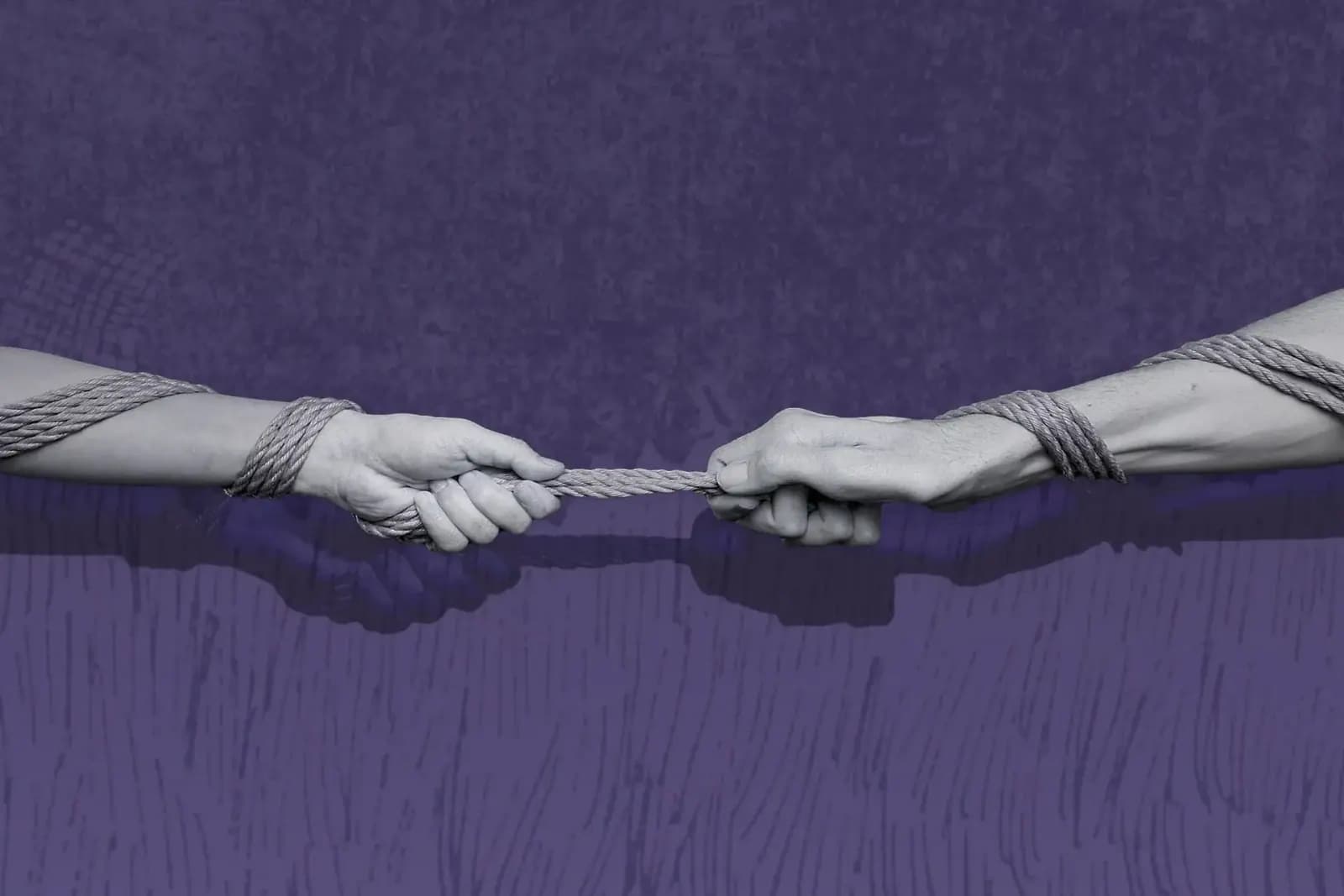 Two hands are connected by shibari rope against a purple background.
