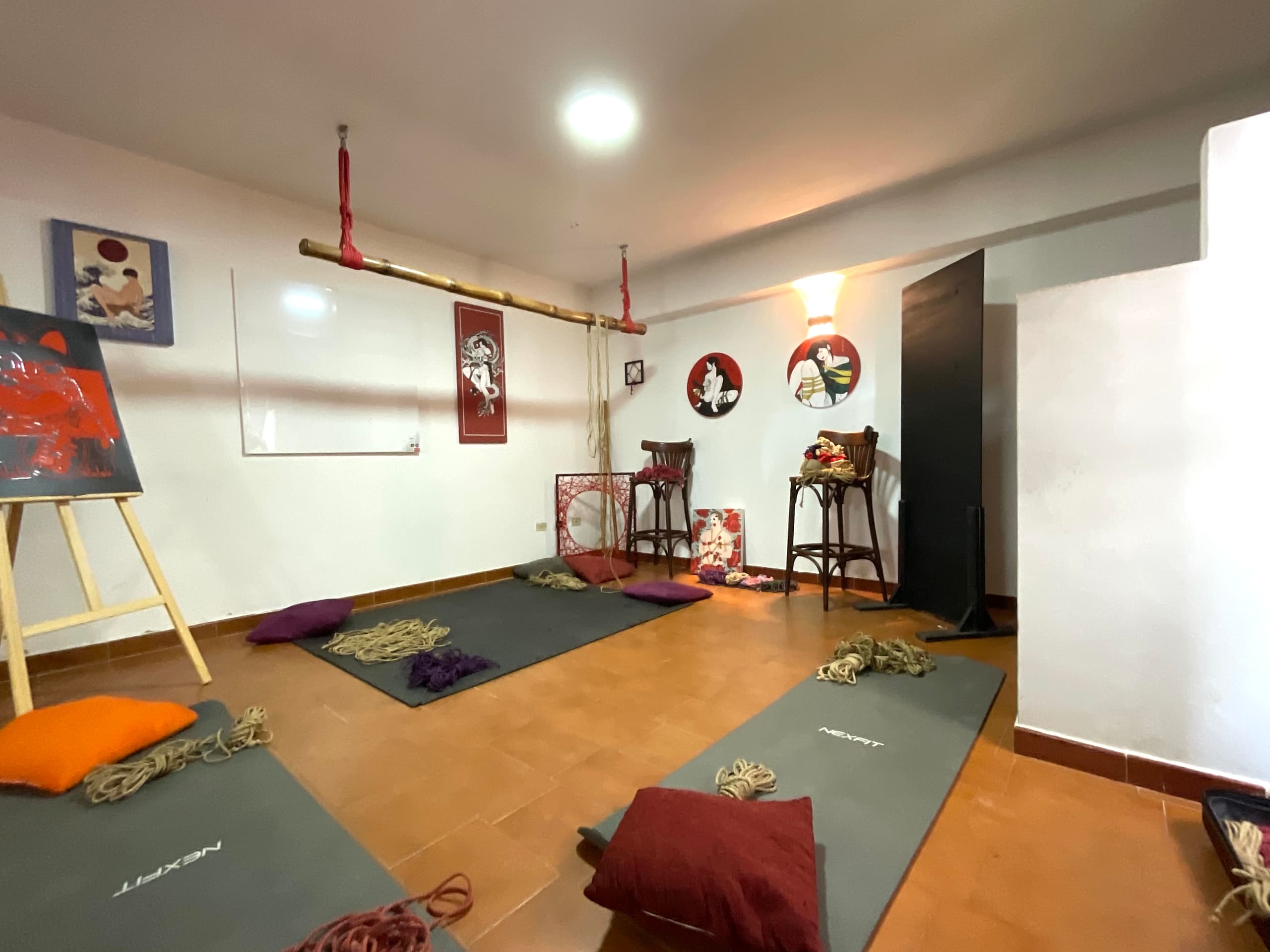 Shibari Valencia Venezuela