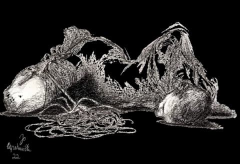 Illustrated diagram explaining Japanese shibari terminology with labeled rope work details.