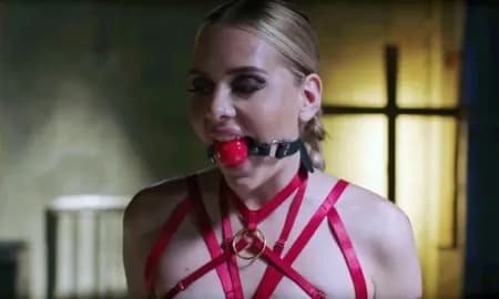 A character wearing a red rope harness with a ball gag.