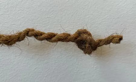 Illustration of twisted rope showing knot detail and fiber weave.