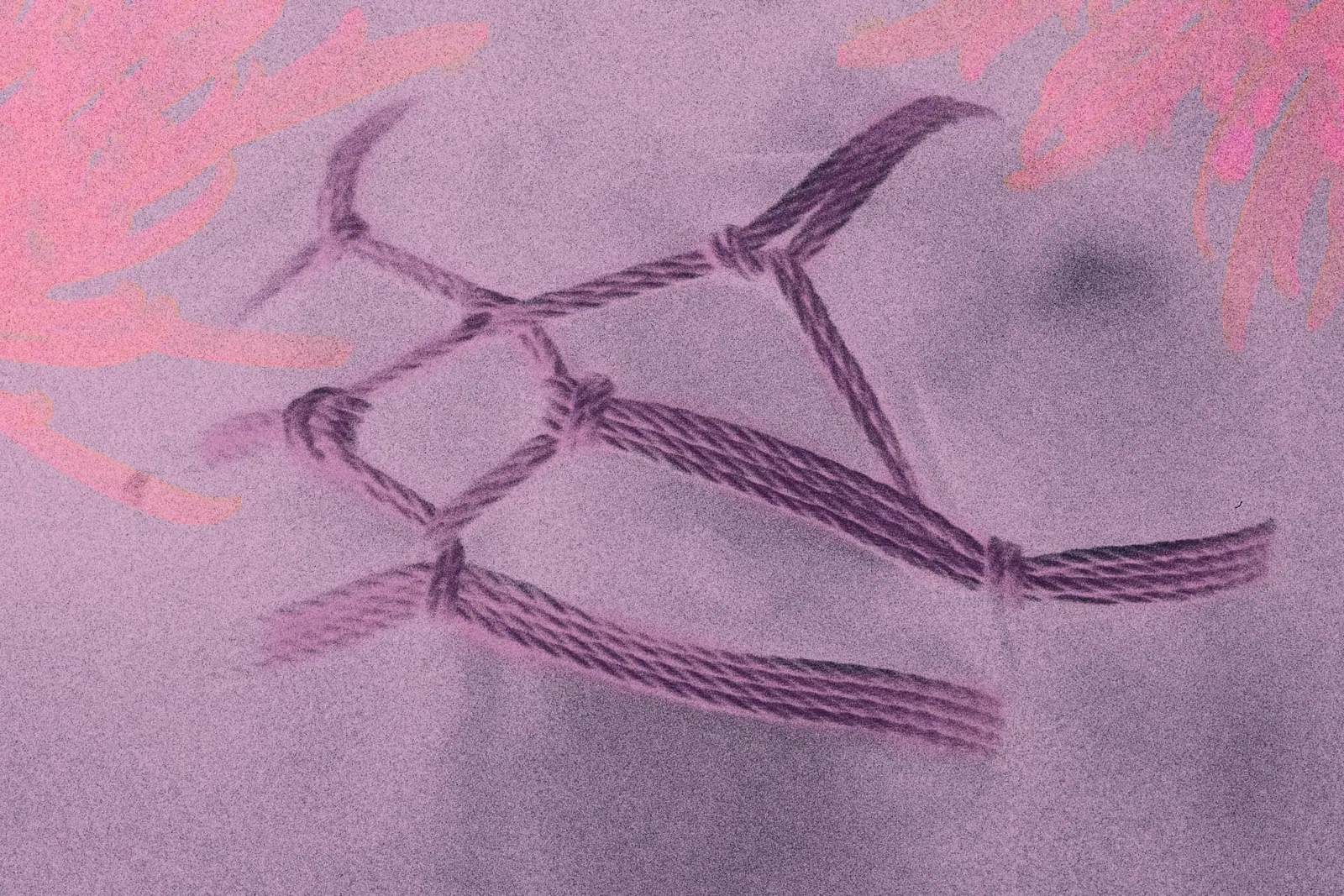 male torso tied in a shibari chest harness, presented in a pink monochrome color scheme.