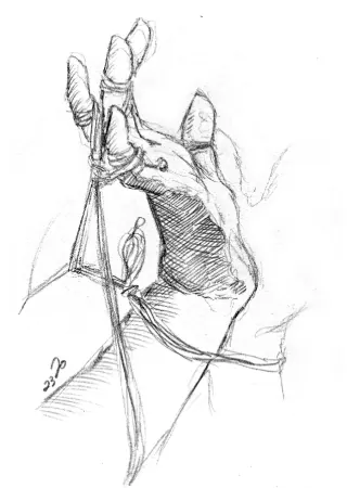 A sketch style illustration of a hand with outstretched tied fingers.