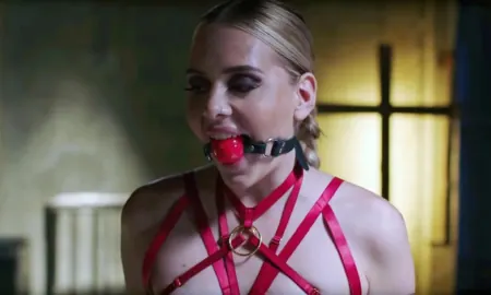 A character wearing a red rope harness with a ball gag.