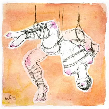 An illustration showing rope bondage suspension positions.