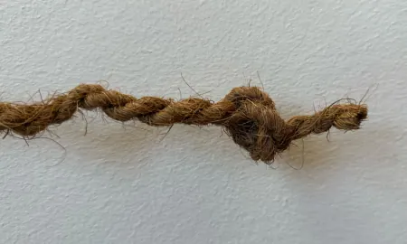 Illustration of twisted rope showing knot detail and fiber weave.