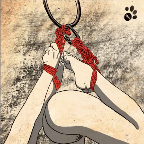 Technical illustration of a person in suspension bondage with red rope.